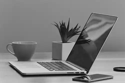 Servicios de marketing digital - Newman